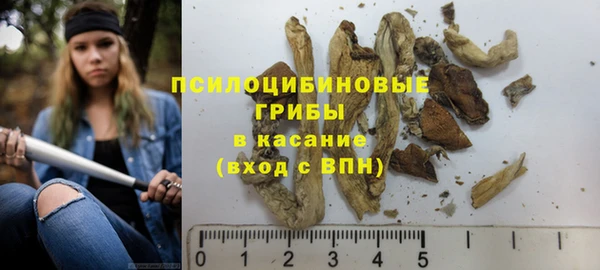 2c-b Алексеевка