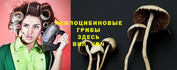 spice Абинск