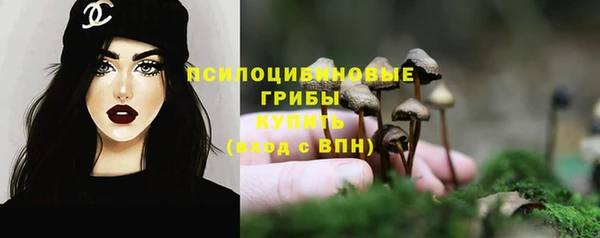 дмт Алзамай