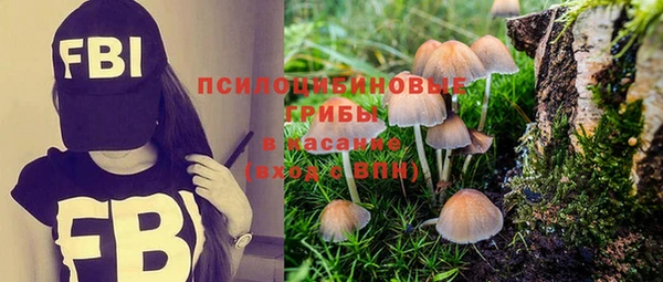 гидра Алексин