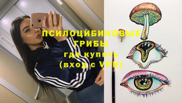 дмт Алзамай