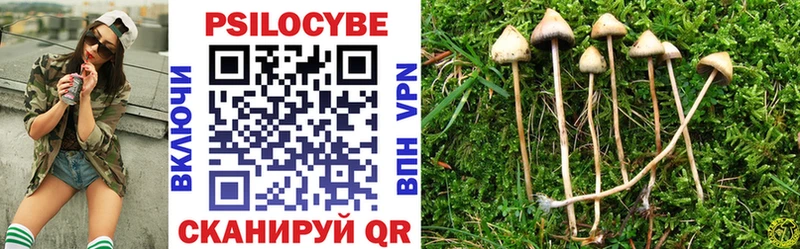 Галлюциногенные грибы MAGIC MUSHROOMS  магазин продажи   Архангельск 