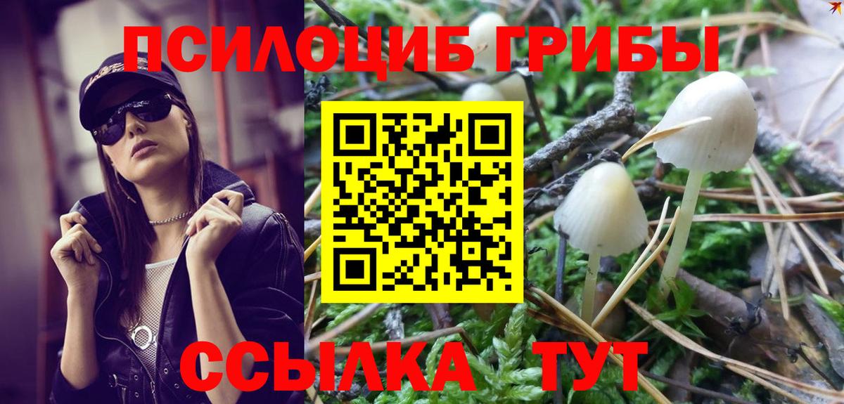 Галлюциногенные грибы MAGIC MUSHROOMS  Вход с VPN  дарнет шоп  Архангельск 