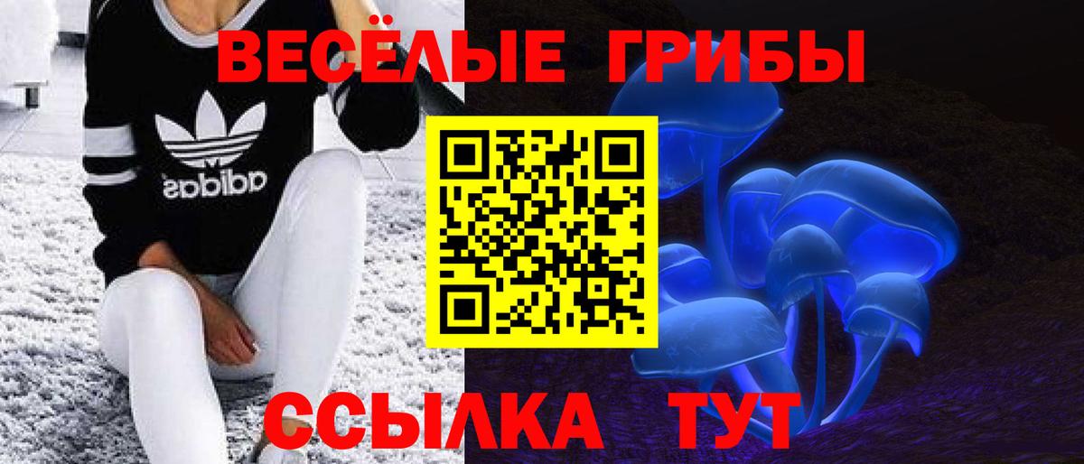 Галлюциногенные грибы ЛСД Архангельск