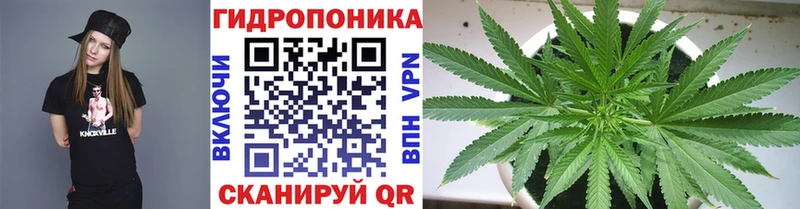 Конопля марихуана  Архангельск 